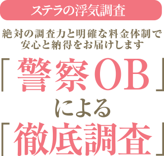 ステラの浮気調査